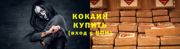 гашик Михайлов