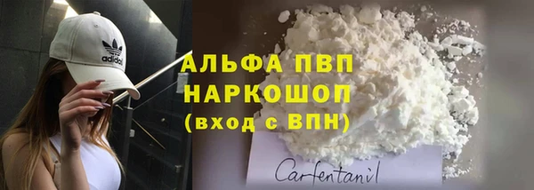 спиды Анива