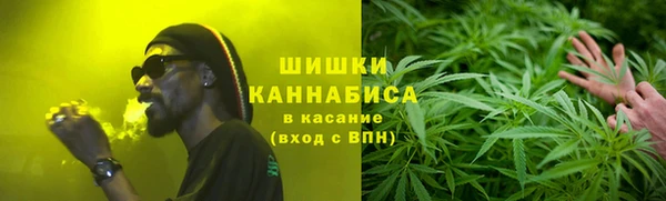 гашик Михайлов