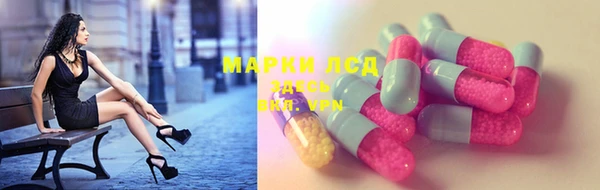 СК Михайловск