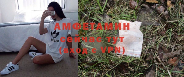 гашик Михайлов