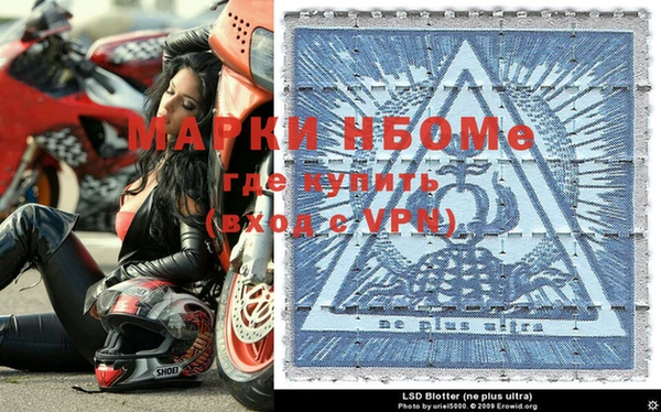 гашик Михайлов
