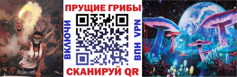 Галлюциногенные грибы Psilocybe  закладка  blacksprut онион  Мытищи 